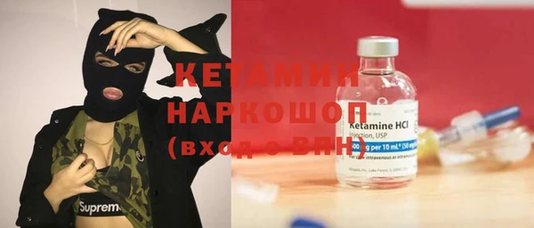трава Няндома