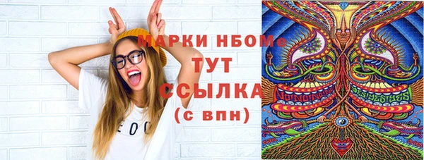 дмт Новозыбков