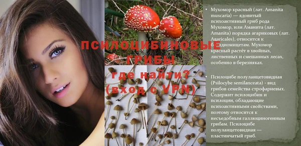 трава Няндома