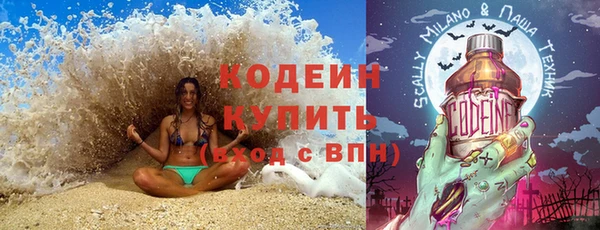 трава Няндома