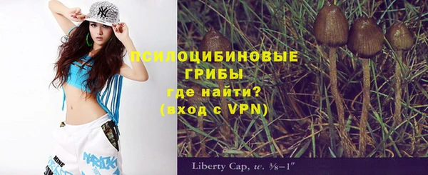 дмт Новозыбков