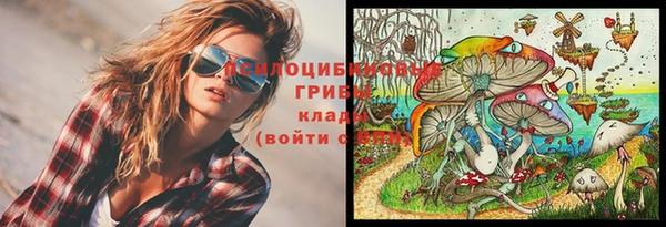 дмт Новозыбков