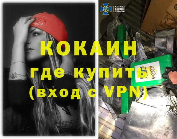 дмт Новозыбков