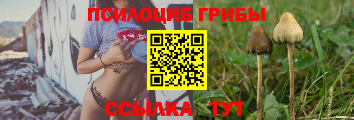 Галлюциногенные грибы MAGIC MUSHROOMS Зерноград